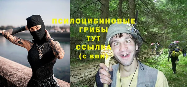 прущая мука Алзамай