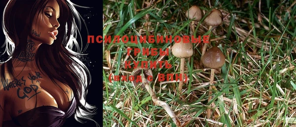 спайс Алексеевка