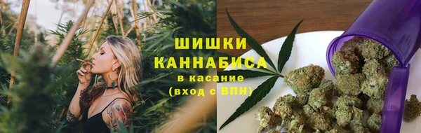 прущая мука Алзамай